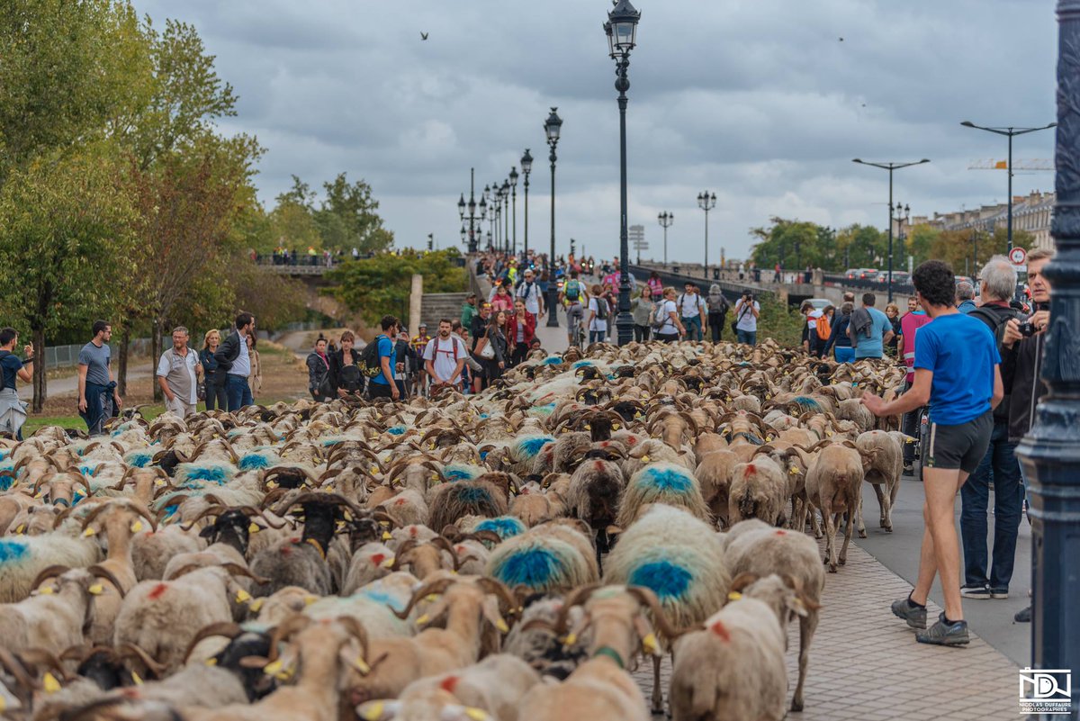 Bordeaux Tourisme tweet media