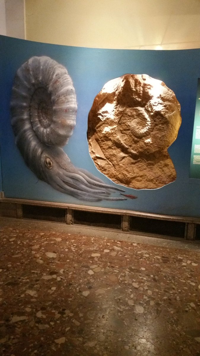 Biserka Zidar On Twitter Haus Der Nathur