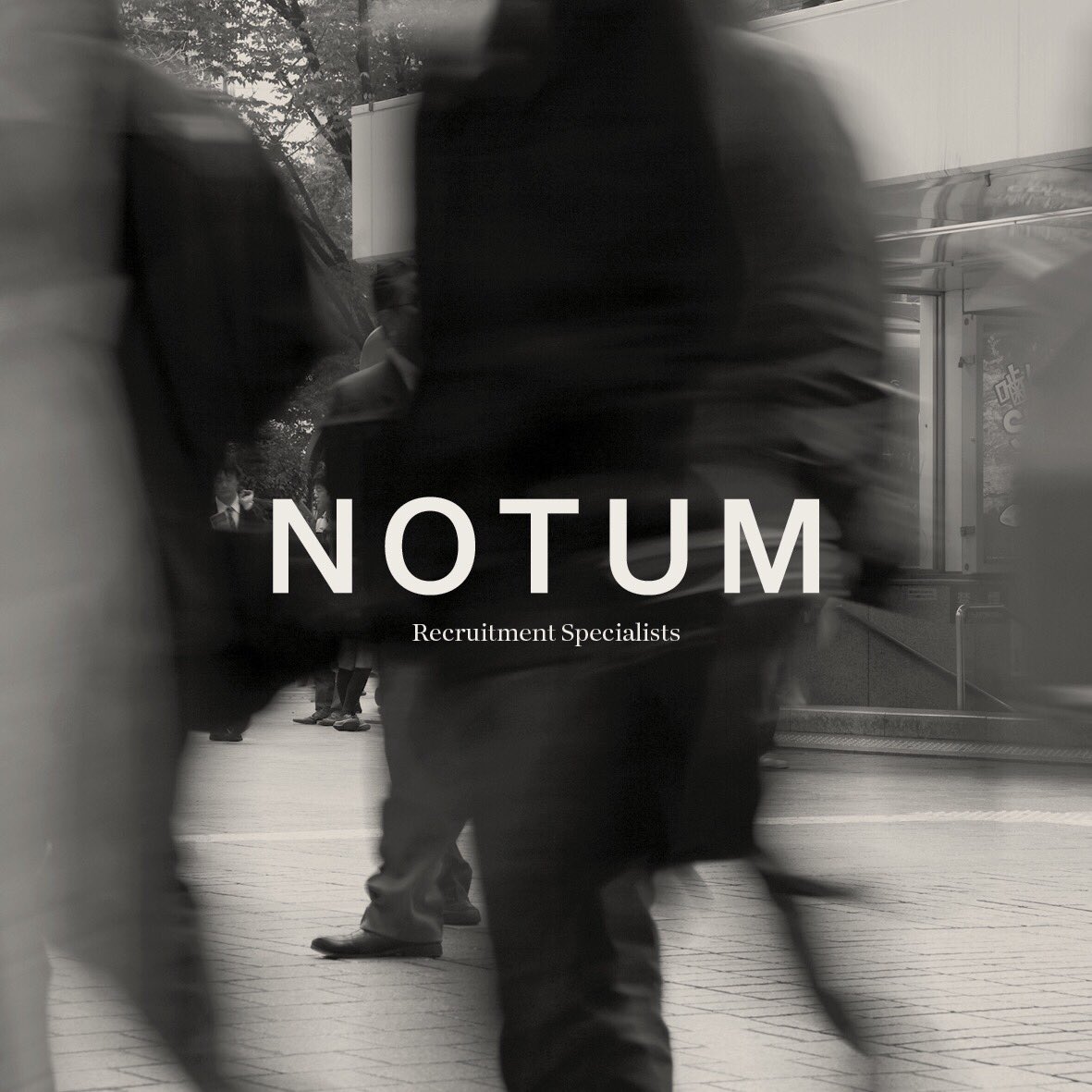 Notum2018's tweet photo. Delighted to introduce NOTUM Recruitment Specialists - https://t.co/0unwJJd6Ec #recruiting https://t.co/YhqFKyXyXQ