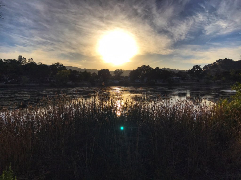SlackerRunner's tweet photo. Week 39:Upcoming Races-Rock n Roll San Jose Training Week 11- New Post! #trainingrecap @runrocknroll #rnrsanjose #rnrlosangeles #rnrbr #ad #bibchat #bibravepro https://t.co/2VM3CTyDDd https://t.co/weHjW8Y4Hb