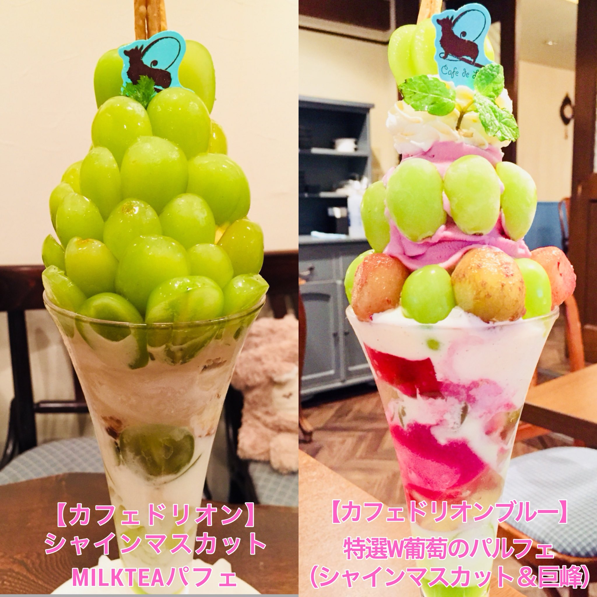 天国のスイーツ By あゆちち Twitter પર カフェドリオン Vs カフェドリオンブルー 名古屋 国際センター駅徒歩5分 どちらのお店も同じパフェが食べられますが 唯一違うメニューがこの ぶどうパフェ 1998 一途なあなた シャインマスカット 欲張りな