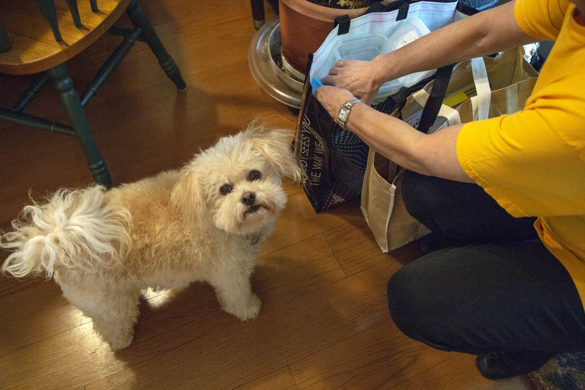 ANuSTARTNY's tweet photo. Coming Soon... Getting Organized with Jackson!
#ANuStartNY #ElderCare #Downsizing #Resizing #Packing #Unpacking #Moving #NewYork #NYC #LongIsland #Organizing #Reorganizing #Home #House #Apartment #StellarService #Family #ComingSoon #OrganizeWithJackson #HappyPuppy https://t.co/wVZxQT0UXY