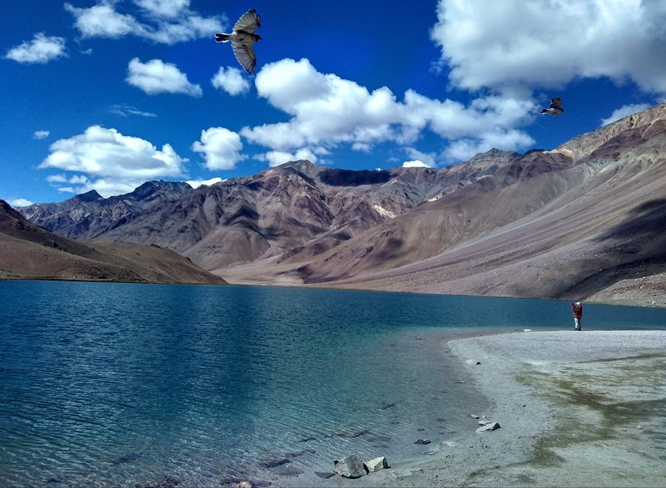 ttsindia's tweet photo. Mesmerizing Chandratal lake
#ttsindia #travel #India #holidays #travelling #nature #peace #trekking #adventure #picoftheday #BUCKETLIST #travelblogger #travellife #spiti #longweekend #hiking #longtrek #adventure #beauty
PC: Anupam Mahanta https://t.co/S5O9Z3zsFE