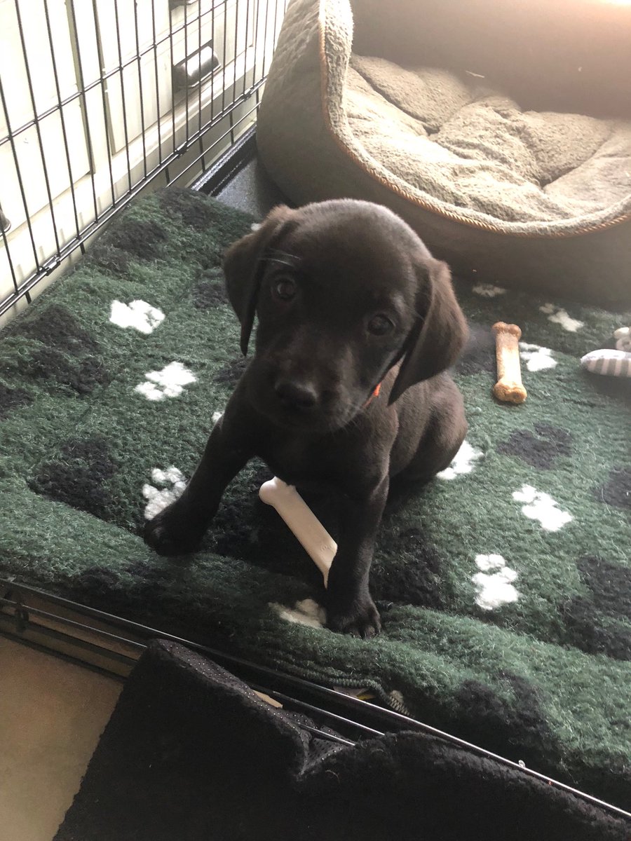 My first full day at my new home. Bit busy last night but getting used to it now x