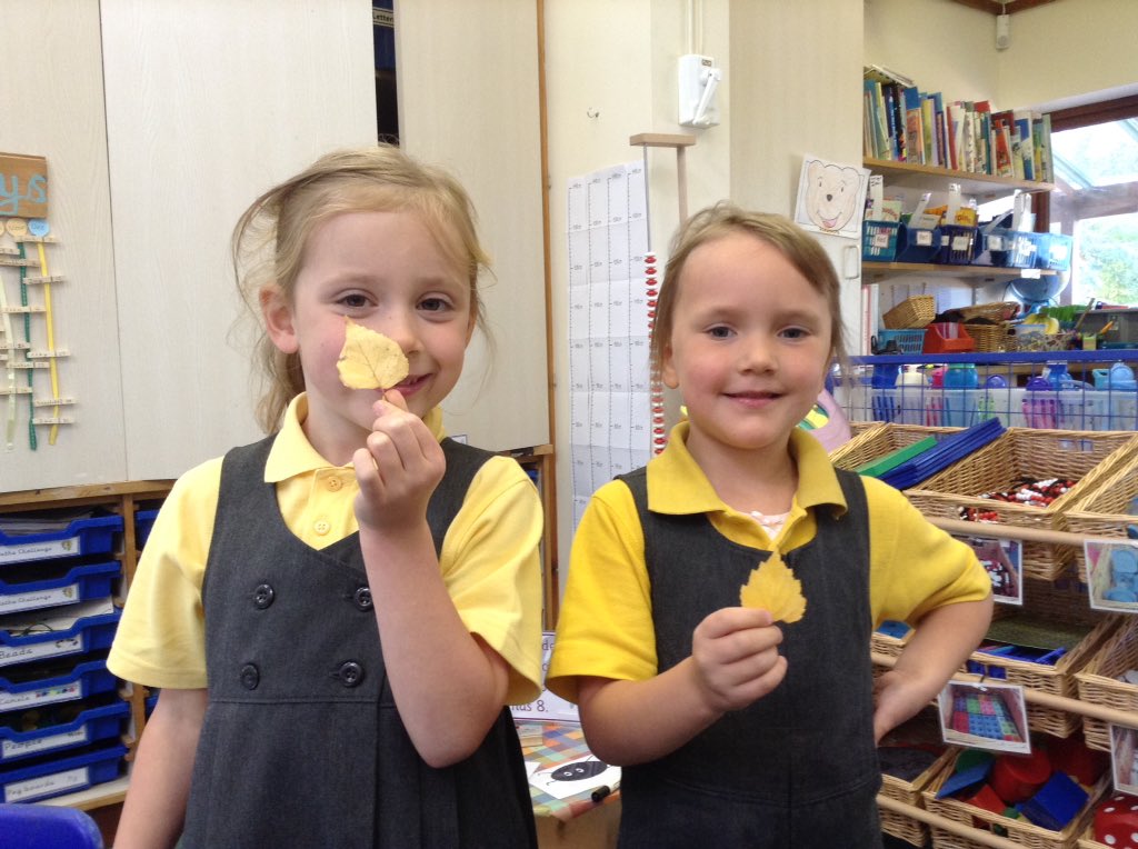 blueclassckis's tweet photo. The girls went on a 'one hunt' and found one leaf! 1️⃣🍂 https://t.co/crvbXgNSmC