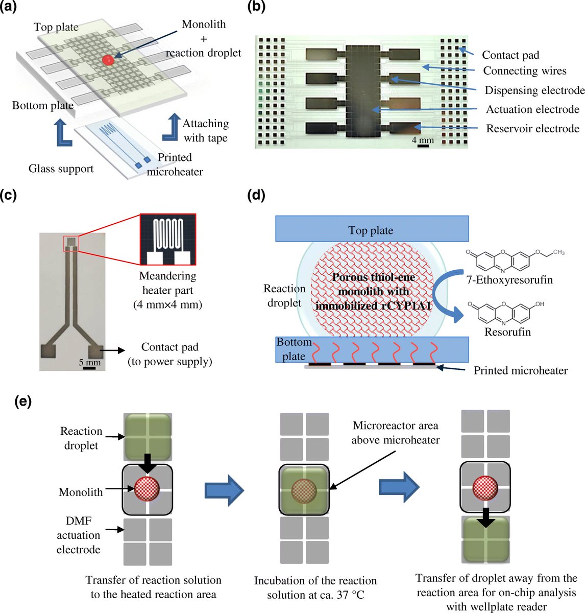 AnalBioanalChem's tweet photo. Digital #microfluidic immobilized #cytochrome #P450 #reactors with integrated inkjet-printed #microheaters for droplet-based #drug #metabolism research
by Tiina Sikanen et al @helsinkiuni
https://t.co/Y42C8puV3g https://t.co/impsQcdxaP