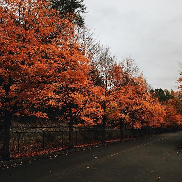 __zhenya__eev's tweet photo. Вот и октябрь🍁🍃 https://t.co/EqcEIYA9wU