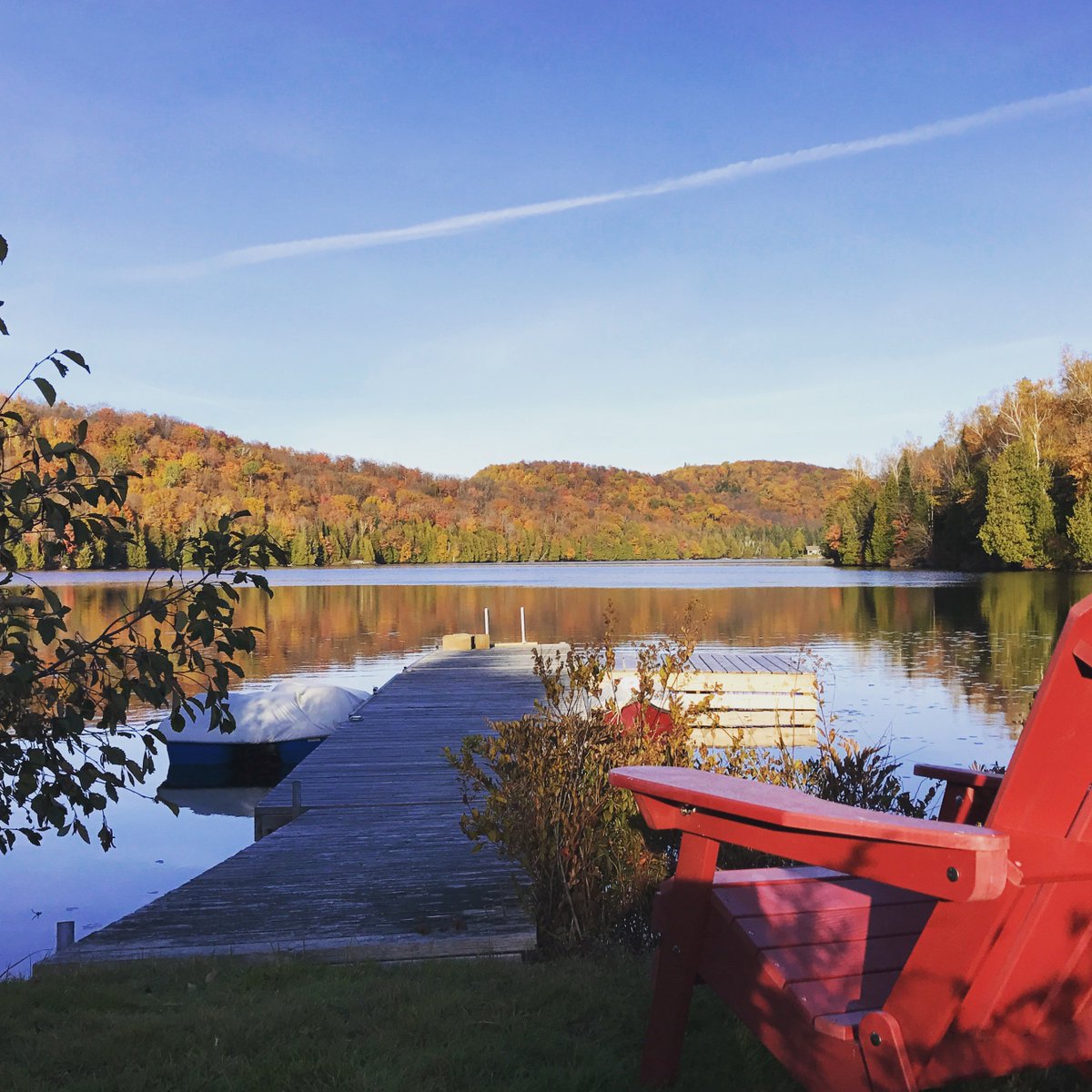 PaigeMcE2000's tweet photo. Love the changing colors, warm sun and crisp air. This is my favorite time to be outside. #fall #crispair #autumn #c2c  #C2CGroup  #C2CCommunity #MondayMotivation https://t.co/f1QhlekQU5
