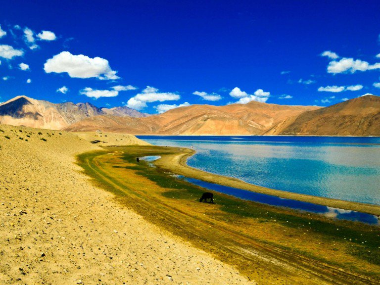UnknownPlaces1's tweet photo. Pangong Tso Lake in Ladakh, Himalayas 
winter&amp;summer version 
#travel #unknowplaces #asia #heaven #ice #blue #white #vacaciones #green #mountines #trip #lake #himalayas #turist #estreme #wild #Unknown #retweet #like #MondayMotivation https://t.co/02LrRkdcUO