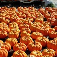 KVFarmTour's tweet photo. Oct 6th and 7th. Where else can you take the whole family and grandma on a mini vaca for only $10 per carload good for both days? Check us out at https://t.co/0rWN8QtA13 https://t.co/ORllO1Lgi1