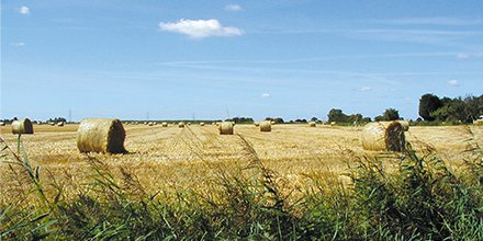 SHollandDC's tweet photo. We may have been called one of the 'unhappiest places in the UK' last week, but as it's #LincolnshireDay, give us a like if you're proud to be a #yellowbelly and let us know what you love about the area. https://t.co/aV6SUsFBjy