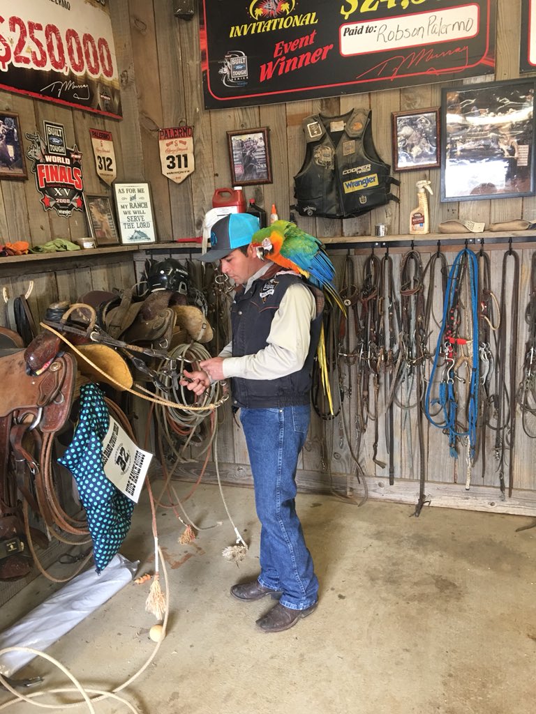 My macaw Cheyenne and I working in the ranch