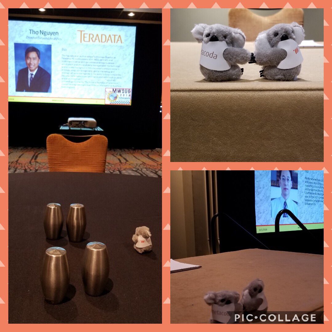 HomesAtMetacoda's tweet photo. Up early at @MWSUG_SM conference? Attend the #MWSUG2018 panel discussion this morning and you may find a @metacoda koala up for adoption... Thanks @SAS_DataRich for sharing! 🐨👋  #metacoda #metacodakoala #SASusers https://t.co/k2P1ERfTjR