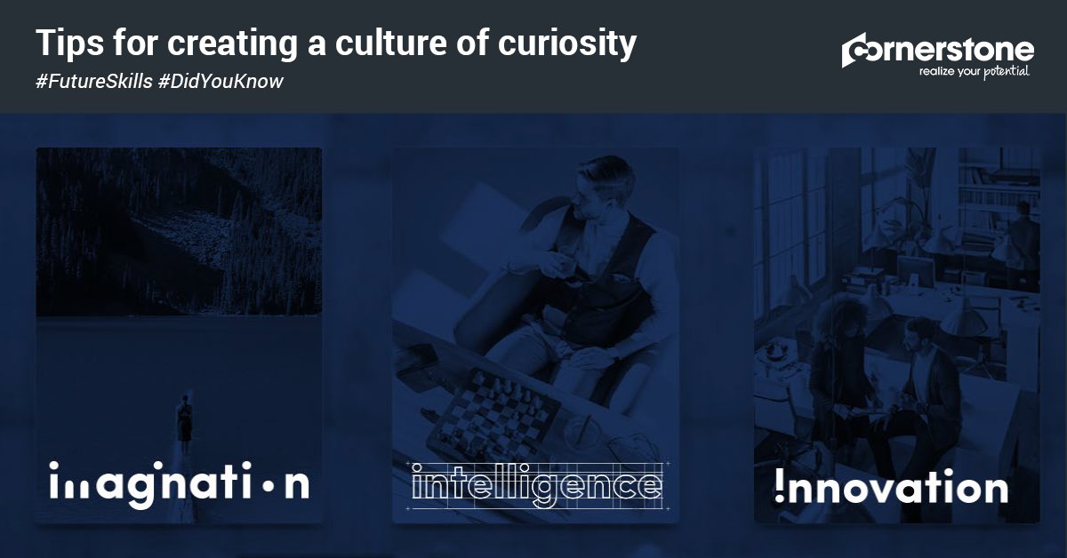 CSODIndia's tweet photo. How do you create a #culture of curiosity? Through the re-imagination of your #strategy, intelligence you gather every day and the creation of an environment that allows #innovation to thrive. Read more: https://t.co/dg7er3YbRI https://t.co/IhzSJexAnC