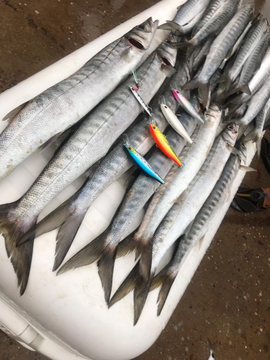 İNAN (@infbd) | Twitter