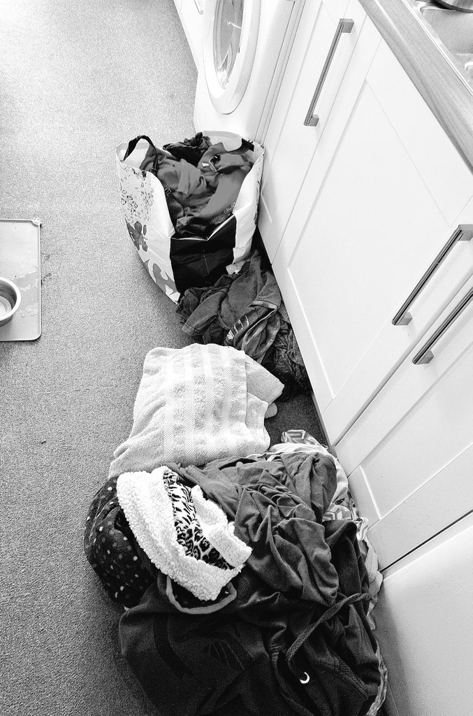 Firesnapper999's tweet photo. Team Man & Mutt reunited👍 0830 shower ambush ready 4 his .@Bayer #Adcocate treatment. He's impressed with OH choice of spoils from France (he found his 🇫🇷 treats though). Have a great Monday! ??When OH stacks washing like this next to washer..is it a message?🤔 #NotAMindReader https://t.co/kb23V0ulfw
