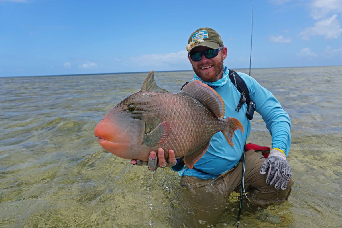 flycastaway's tweet photo. A hefty #ProvidenceAtoll #Triggerfish to start the week... how else would you want to kick start the month of October. #TestedTough #WildCoolers https://t.co/Nd8vJIqRLe