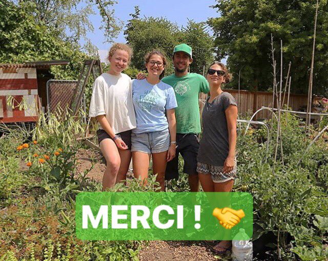 Agrovelocity tweet media