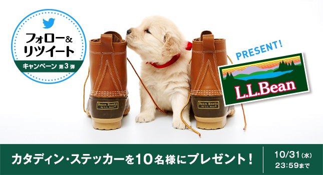 LLBeanJapan's tweet photo. 【フォロー&amp;リツイートキャンペーン】
今月は抽選で10名様にカタディン・ステッカーをプレゼント🎁✨
⬇⬇ 応募方法 ⬇⬇
 @LLBeanJapan をフォローしてキャンペーンツイートをリツイートするだけで応募完了！ #llbeanRTキャンペーン #キャンペーン #懸賞 https://t.co/WHmBqORmGu