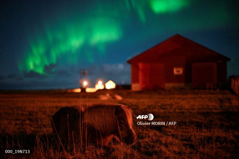 Olivier Morin tweet media