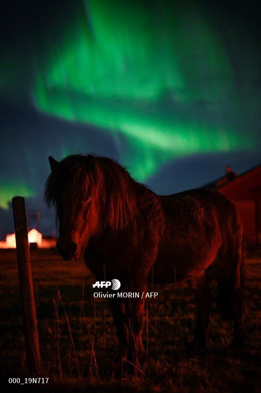 Olivier Morin tweet media