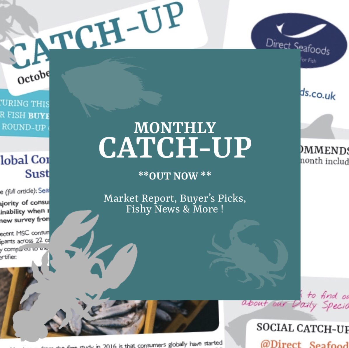 Direct_Seafoods's tweet photo. Our monthly catch-up is now available featuring the market report, buyers picks and more 🐟
.
.
#fishknowledge #fishnews #fish #eatmorefish #chefs #cheflife https://t.co/3yaWTsBT9J