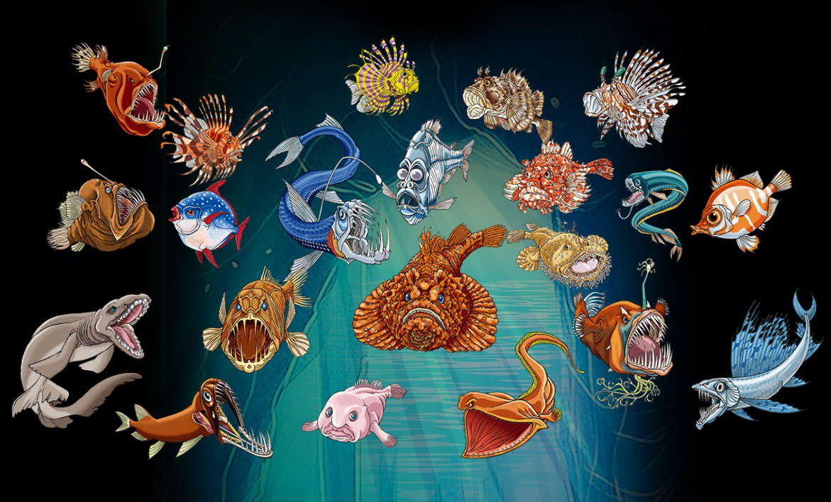 O Xrhsths 豆魚雷 Sto Twitter どろっとした魚 カエルみたいな魚 海を泳ぎまわる岩 名付けた学者に なんでそんな名前に とインタビューしたいくらいの不可思議なネーミングの深海魚たち シーモンスターズ Co のcmがこちらです T Co Tlfcugievl O Xrhsths 豆魚雷 Sto Twitter どろっとした魚 カエルみたいな魚 海を泳ぎまわる岩 名付けた学者に なんでそんな名前に とインタビューしたいくらいの不可思議なネーミングの深海魚たち シーモンスターズ Co のcmがこちらです T Co Tlfcugievl