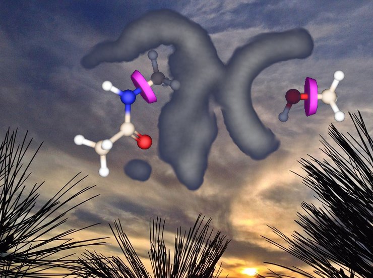 biosolveit's tweet photo. #FBLD2018 San Diego this SUN, Oct7th @4PM: Free hands-on #workshop! TOPICS: Ultrafast #chemspace navigation, merge/link, mix&match, evolution, rescaffolding — software free for those who join. No prior knowledge required!
https://t.co/YYO8QuhRZh
#FastVisualEasy #FLBD https://t.co/3ufOmLoCTi