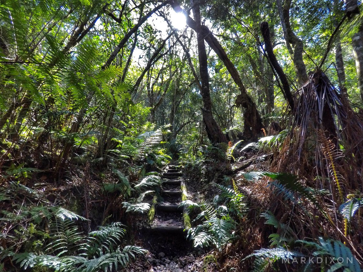 Garden Route Trail tweet media