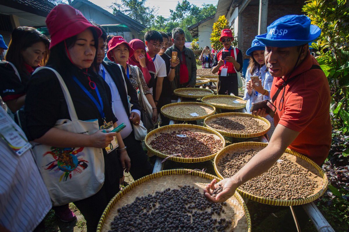 aseanfoundation's tweet photo. Happy International Coffee Day! Let’s have a throwback to ASEAN Learning Series and Policy Engagement on Agricultural Cooperatives ( #ALSPEAC ) for coffee value chains in 2017,  #AFOSP https://t.co/Z6DeJYOGAa