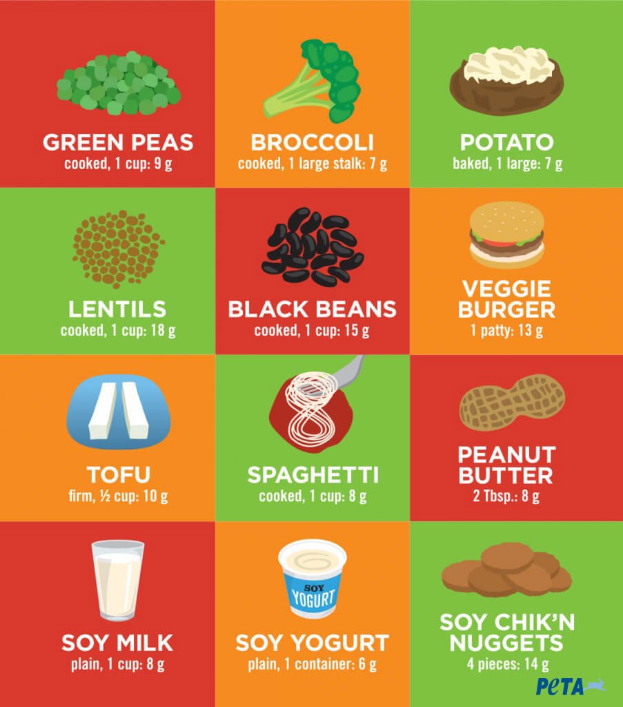 Don’t fall for the idea that you "need to eat meat" to get your protein — plants are full of it! #WorldVegetarianDay