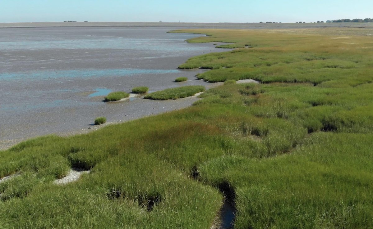 Al een tijdje bezig met opnames voor het NIOZ over schorren en slikken. Prachtige beelden maken op unieke locaties in <a href="/Zeeland/">Zeynep Krych</a>! We maken o.a. timelapses en onderwater beelden. Check onze website voor de beelden: originmedia.nl/timelapse-en-d…