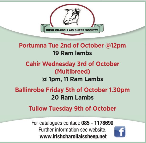 Irish Charollais Sheep Society tweet media