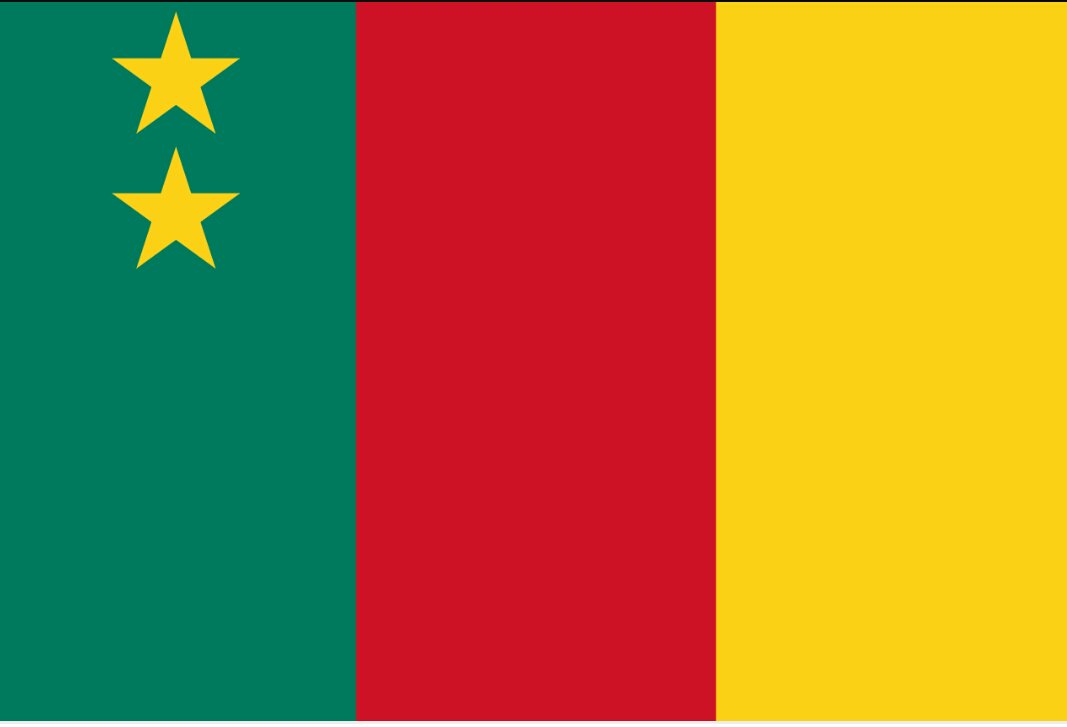 Man Kingue On Twitter Le Drapeau Qui Est Adopté Est Le