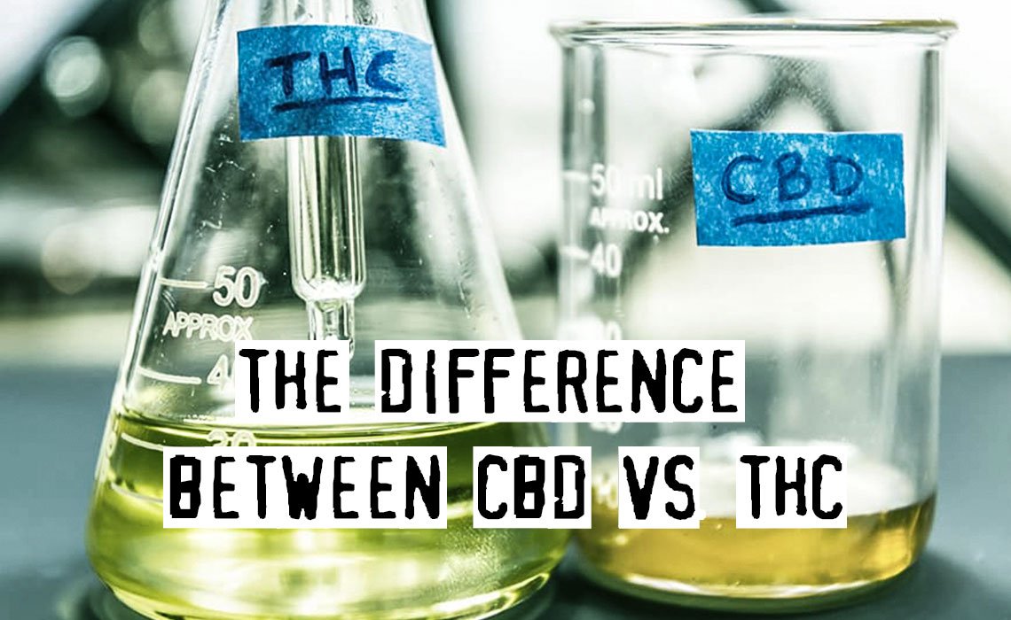 bestpot_ca's tweet photo. Guide To The Major Differences Between THC And CBD
https://t.co/YUX6YWqhwJ https://t.co/PqniIfDFEg