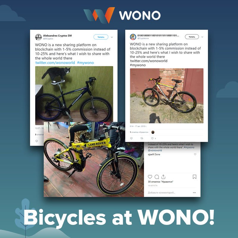 We'll have plenty of them! Which one would you choose? WARNING: cat isn't for rent xD #ico #blockchain #startup #fintech #token #tokensale #sharingeconomy #wono
