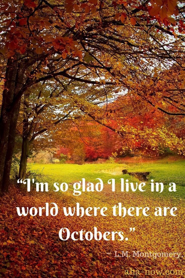 pureholmeschap's tweet photo. 🍂🍁 We have just had a delivery of some Beautiful Autumn colours from The Gel Bottle ... pics to follow! 🍁🍂 #thegelbottle #holmeschapel #cheshirebeautysalon https://t.co/imo0GHEs41