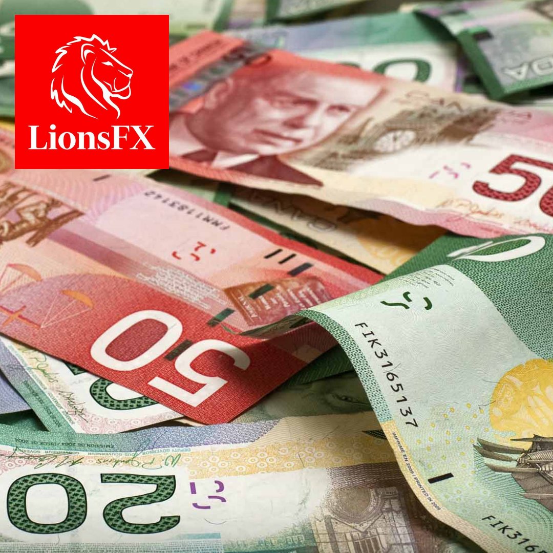 LionsFXOfficial's tweet photo. 1) The USD slipped against the Canadian dollar on Monday.
2) The Canadian dollar rose about 0.7 %, reaching a four-month high of C$1.2814.
3) The yen , meanwhile, weakened to 113.96 per USD.
Join Trading Elite!
#LionsFX #trading #dollar https://t.co/UubYhjKnaL