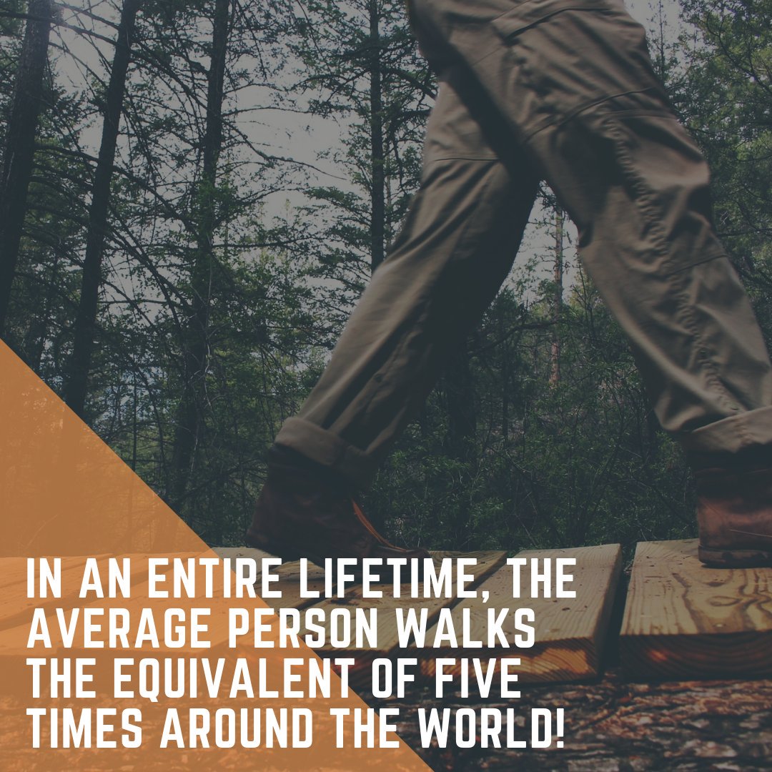 bunk_time's tweet photo. Fact.
#MondayMotivation #MotivationMonday #bunktime #bunktimeonthereels https://t.co/NA0oD2qkaN