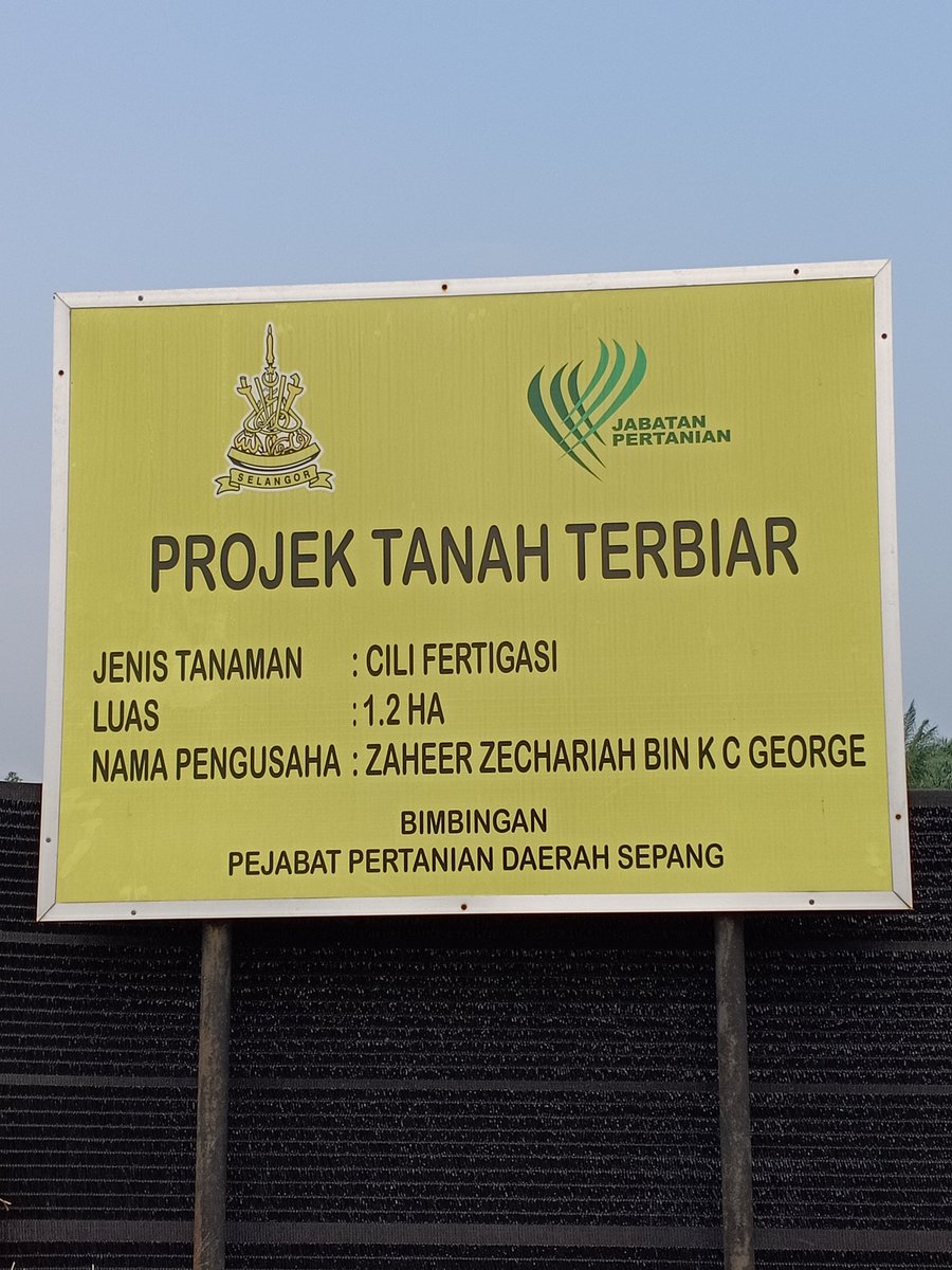 PertanianSepang's tweet photo. Projek fertigasi Kg.Tumbok, Sepang,
12 ribu polibag, pokok 2 minggu dipindahkan ke polibag..jangkaan tuai pertengahan Disember 2018
#doaselangor
#MY1DOA
#JHarizan https://t.co/VR4zWTdDa0