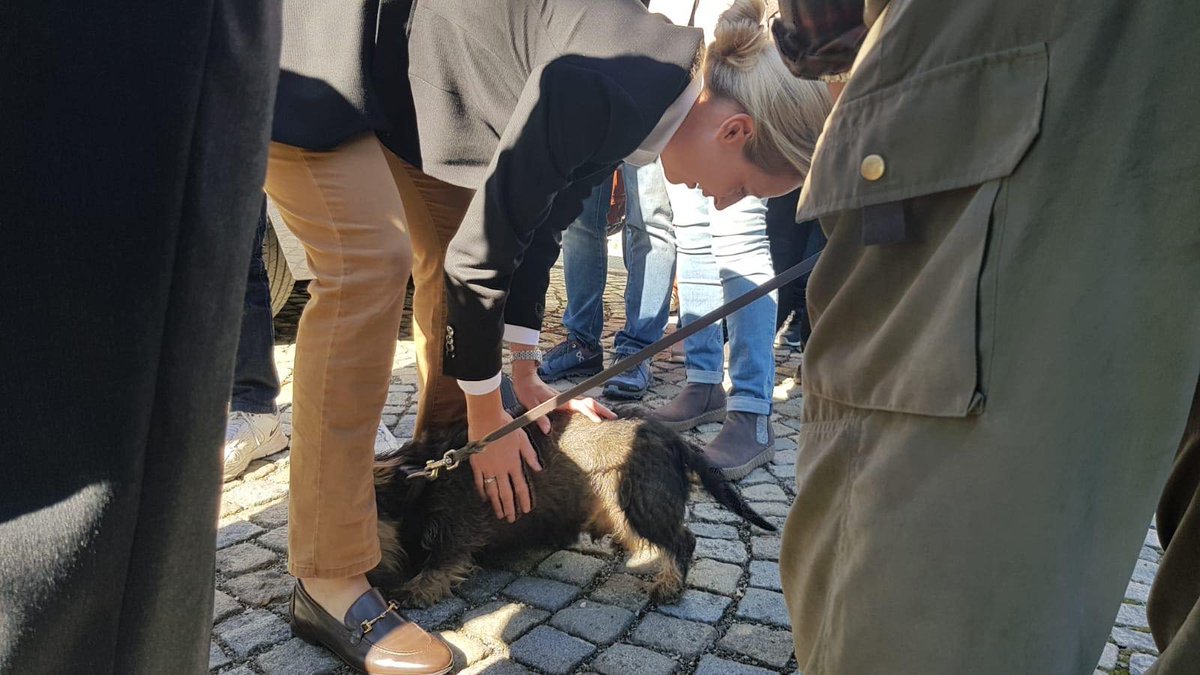 Alice_Weidel's tweet photo. Ein anstrengendes, aber sehr schönes Wochenende liegt hinter mir - Wahlkampfveranstaltungen in #Exing, #Eging am See & Bad #Aibling waren allesamt sehr gut besucht. Vielen Dank für die vielen netten Gespräche am Rande, ich freue mich schon auf die Fortsetzung!
#LtwBayern #AfD https://t.co/YgSubuPH63
