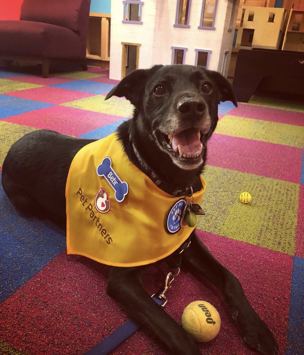 Stronger Stories tweet media