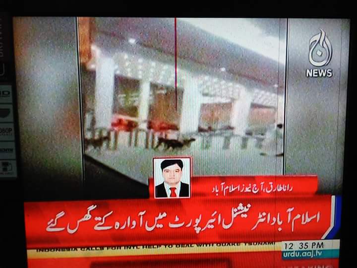 HaseebGorgage's tweet photo. شیرو ہیلی کاپٹر میں سفر کرسکتا ہے
تو یہ اوارہ کتے جہاز میں سفر کیوں نہیں کرسکتے ؟ 😂
#DonkeyState
#DogsInAirport https://t.co/GdvG2YYoH6