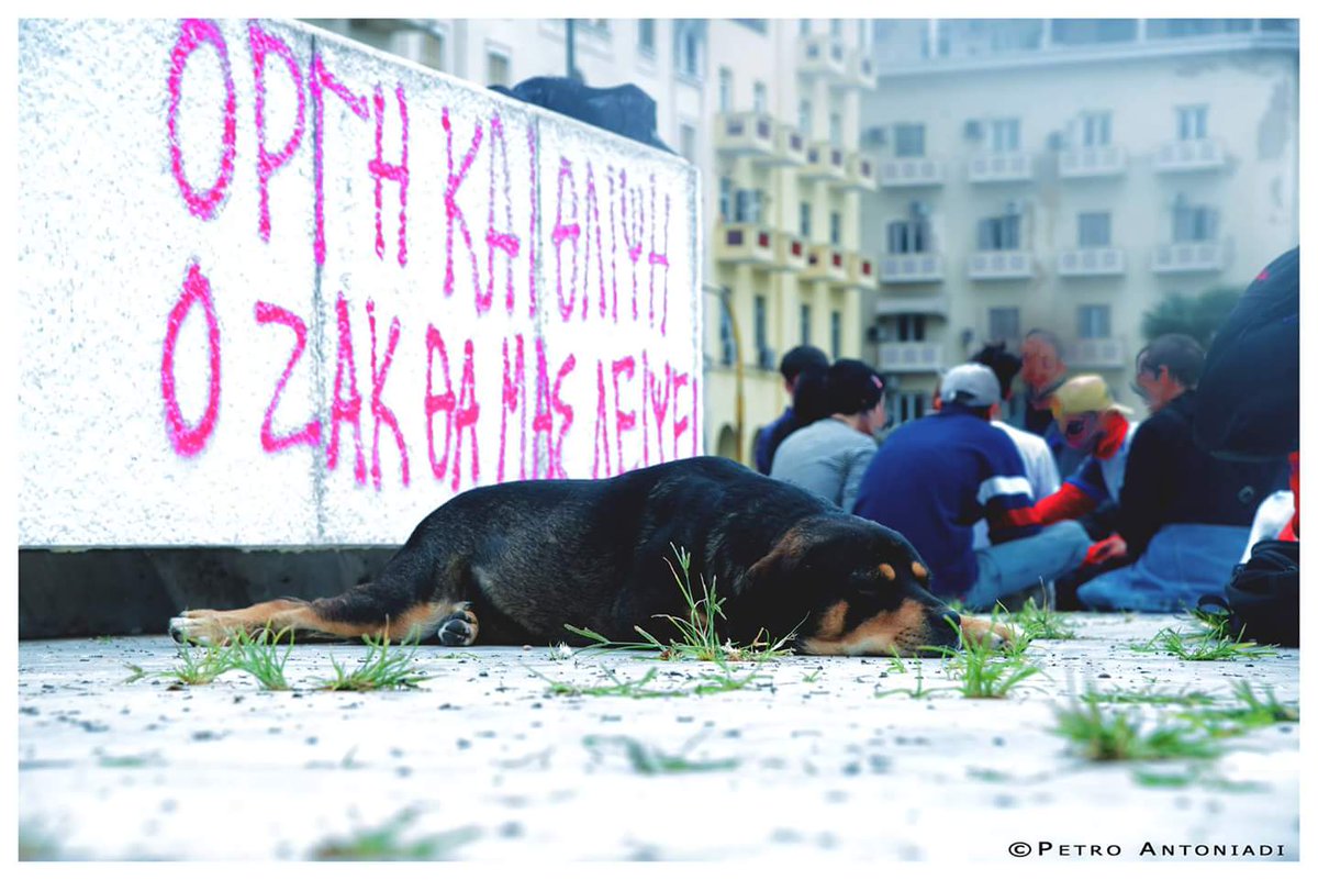 o_misogynis's tweet photo. @Ellinofreneia πορεία διαμαρτυρίας για τη δολοφονία του Ζακ Κωστοπουλου #zakkostopoulos #justice #murder #oikogeniarxes #mpatsoi #poustides https://t.co/HGITqR698g