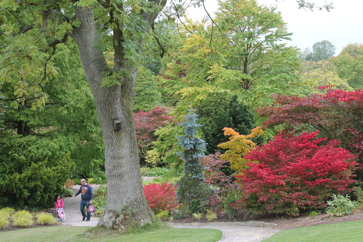 It's our FREE entry day tomorrow (Tues 2nd Oct) so come on down and enjoy the early autumn colour. Open from 9.30am last entry 5pm