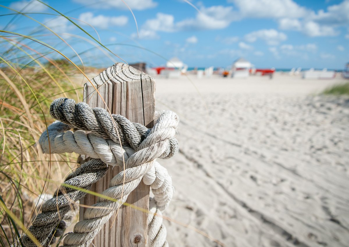 Yeni ay tüm takipçilerimize mutluluk, dinginlik ve başarılar getirsin.

Sakin ve bir hafta sonu ya da dingin bir mola isterseniz bizi arayabilirsiniz  ☎️  👉 0252 316 89 71

😎💃🕺🌺🐞🍉🍷🍸☕🍺☀️🌈🎶

#kariaprincess #hotel #bodrum #halikarnas #ekim #pazartesi #beach