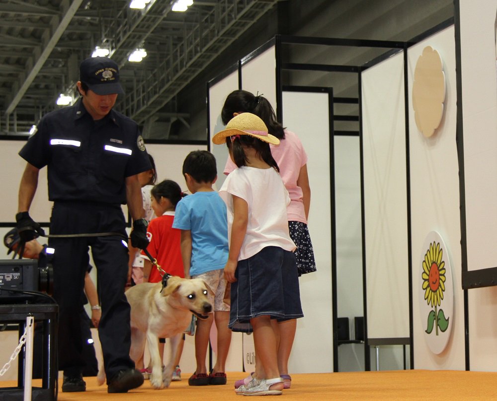 ট ইট র カスタム君 東京税関 麻犬 お届けするワン 夏休み18 宿題 自由研究大作戦 のデモンストレーションの様子 たくさん集まってくれてうれしかったワン 麻薬探知犬 黄ラブ パキラ号 ルッツ号