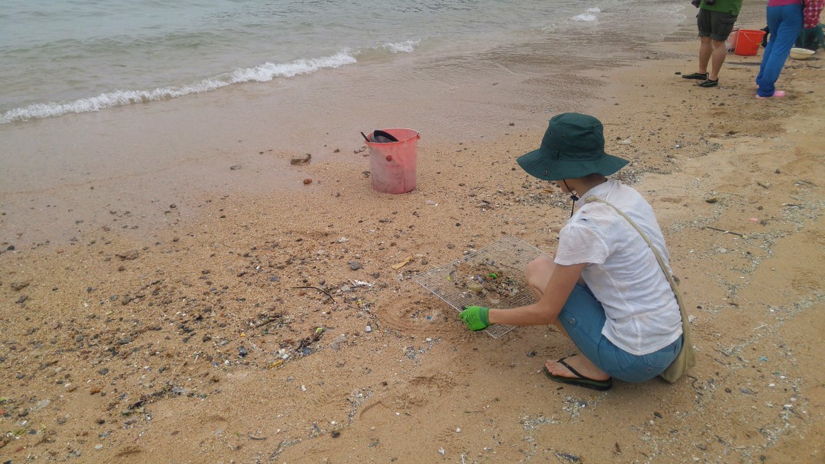 mlearning2010's tweet photo. We're better and stronger together. Wonderful to see the community getting together for #beachclean at Cheung Chau. Clearing debris and plastics from #TyphoonMangkhut #HKcleanup https://t.co/3M4LO7NpMe