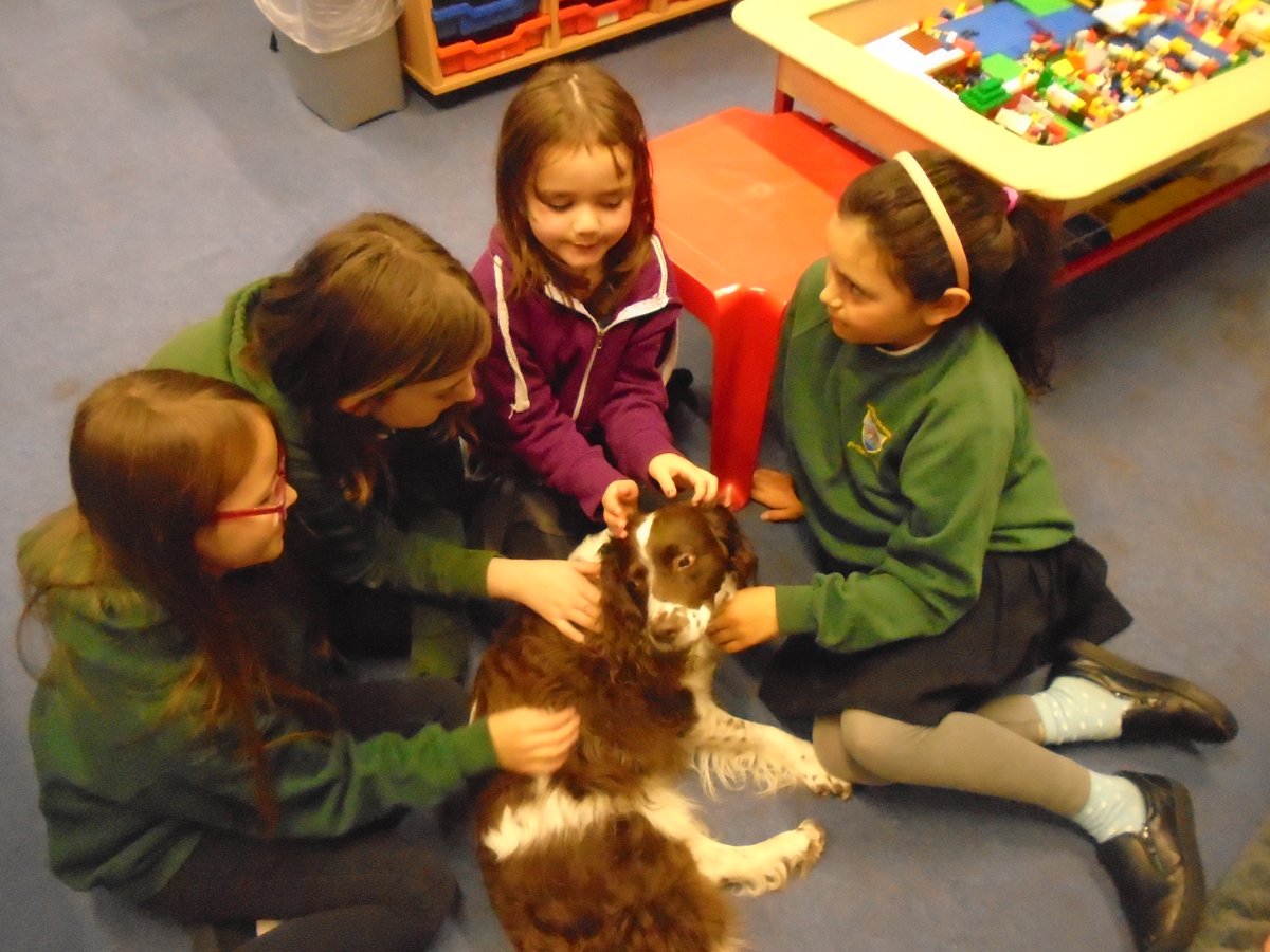 KinlochRannochP's tweet photo. Today we welcomed our new reading dog, Tess! We think she was made very welcome! #learningtogether #KoolK-9s https://t.co/vRZRbKprhr