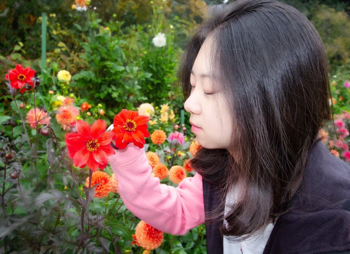 Malisa_Zhao's tweet photo. A beautiful day🌸 https://t.co/atpQmWCegz